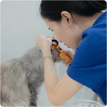 Khám & Điều trị